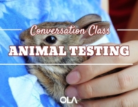 Conversation class on Animal Testing