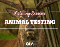 Ejercicio de listening sobre las pruebas en animales