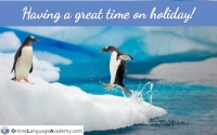 Penguins being responsible tourists