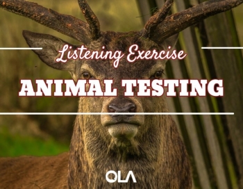 Ejercicio de listening sobre las pruebas en animales Ejercicio de listening sobre las pruebas en animales