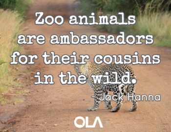 Quote on zoo animals Quote on zoo animals