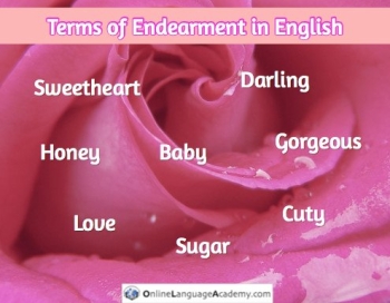 Terms of Endearment in English Terms of Endearment in English