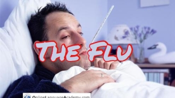 The flu The flu