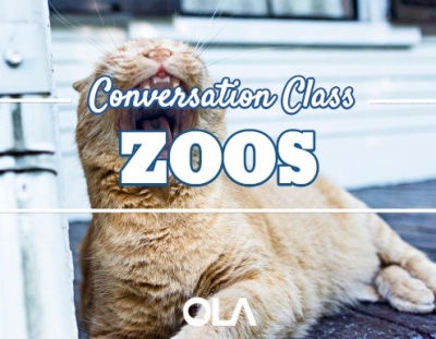 Conversation class on zoos
